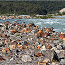 Rio Fitzroy, Cerro Torre Trek, El Chalten, Patagonia, Argentina
