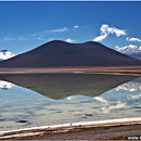 Laguna Blanca y Verde, Altiplano, Bolivia