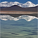 Laguna Blanca y Verde, Altiplano, Bolivia