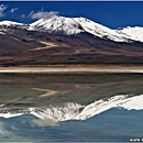 Laguna Blanca y Verde, Altiplano, Bolivia