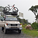 Mountainbike Downhill on the Death Road (Camino de la Muerte, La Cumbre, La Paz, Yolosa, Coroico, Yungas, Bolivia