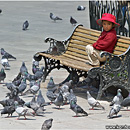 Plaza Murillo, La Paz, Bolivia