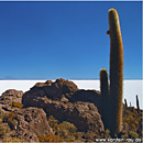 Isla de Pescado, Incahuasi, Salar de Uyuni, Bolivia