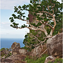 Wayalailai Island, Yasawas, Fiji
