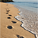 Octopus Resort, Waya, Yasawas, Fiji