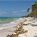 Nanuya Lailai Beach, Sunrise Lagoon Resort, Yasawas, Fiji