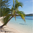 Blue Lagoon Cruise, Nanuya Lailai, Yasawas, Fiji