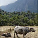 Landscape near Vang Vieng, Laos