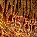 Tham Chang Cave, Vang Vieng, Laos