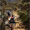 Climbing Mount Kinabalu, Borneo, Malaysia