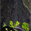 Fairy Cave, Kuching, Sarawak, Borneo, Malaysia