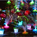 Kuching Night Market, Sarawak, Borneo, Malaysia