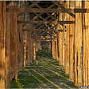 Teak Wood posts, U Bein Bridge, Myanmar