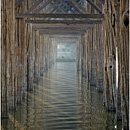 Teak Wood posts, U Bein Bridge, Myanmar