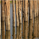 Teak Wood posts, U Bein Bridge, Myanmar