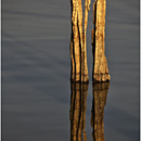 Teak Wood posts, U Bein Bridge, Myanmar