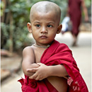 Young Novice, Yangon, Myanmar