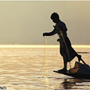 Fisherman @ Inle Lake, Myanmar