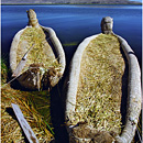Islas Flotantes (Uros), Titicaca Lake, Peru