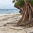 Beach @ Tongatapu, Tonga