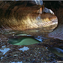 The Subway, Left Fork of North Creek, Zion National Park, Utah, USA