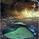 The Subway, Left Fork of North Creek, Zion National Park, Utah, USA