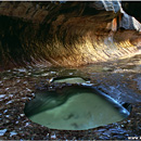 The Subway, Left Fork of North Creek, Zion National Park, Utah, USA