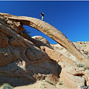 Cobra Arch, Paria Canyon-Vermilion Cliffs Wilderness, USA