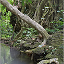 Mele Cascades, Port Vila, Efate, Vanuatu