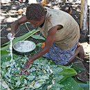 Preparing Laplap, Tanna Island, Vanuatu