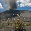 Ash Plains, Mount Yasur, Tanna, Vanuatu