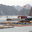 Halong Bay, Lan Ha, Vietnam