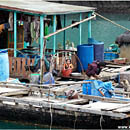 Halong Bay, Lan Ha, Vietnam