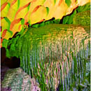 Hang Sung Sot cave, Halong Bay, Vietnam