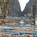 Halong Bay, Lan Ha, Vietnam