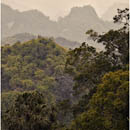 Cat Ba National Park, Halong Bay, Vietnam