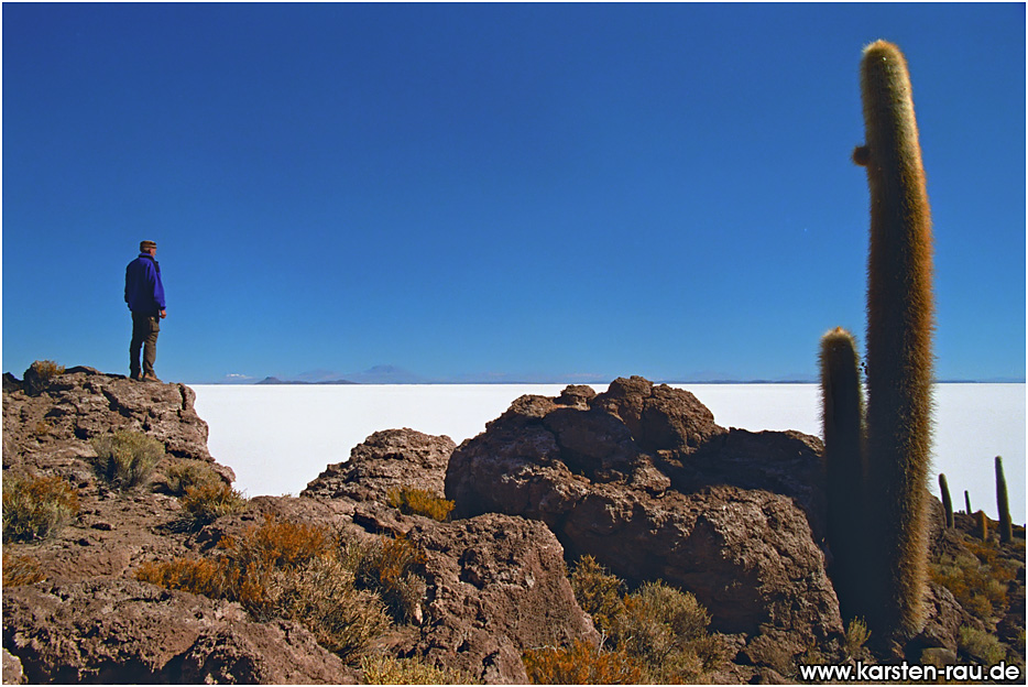 [Image: bolivia_salar_de_uyuni_isla_pescado_15-6.jpg]