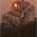 Pre Rup Sunset, Angkor