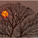 Pre Rup Sunset, Angkor, Cambodia