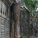 Elephant's Trunk, Preah Khan