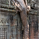Elephant's Trunk, Preah Khan