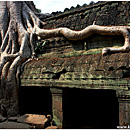 Ta Prohm, Angkor, Siem Reap, Cambodia