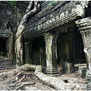 Ta Prohm, Angkor, Cambodia