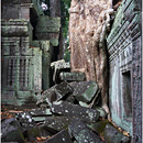 Ta Prohm, Angkor Wat