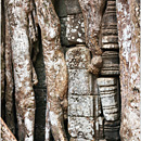 Beng Mealea, Siem Reap