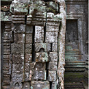 Ta Prohm, Angkor