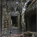 Ta Prohm, Angkor