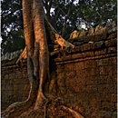 Preah Khan, Angkor