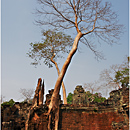 Preah Khan, Angkor