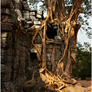 Ta Som, Angkor, Siem Reap, Cambodia